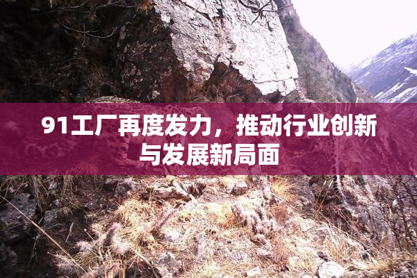 91工厂再度发力，推动行业创新与发展新局面