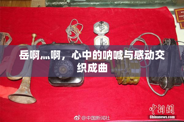 岳啊灬啊，心中的呐喊与感动交织成曲