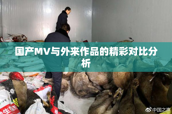 国产MV与外来作品的精彩对比分析