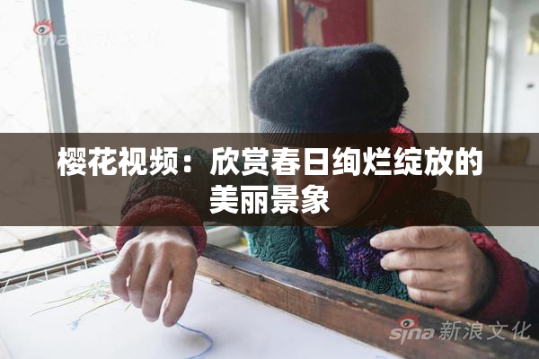 樱花视频：欣赏春日绚烂绽放的美丽景象