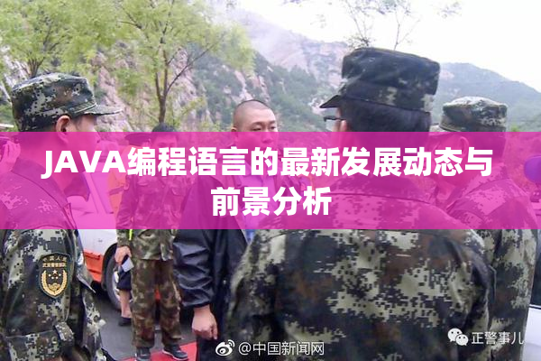 JAVA编程语言的最新发展动态与前景分析