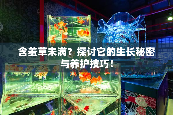 含羞草未满？探讨它的生长秘密与养护技巧！