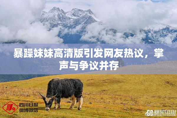 暴躁妹妹高清版引发网友热议，掌声与争议并存