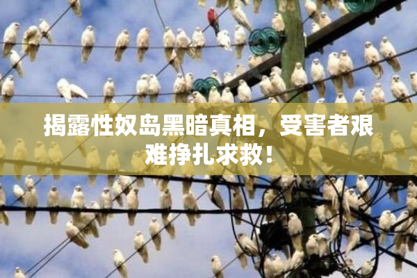 揭露性奴岛黑暗真相，受害者艰难挣扎求救！