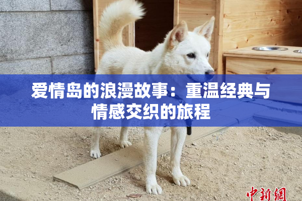 爱情岛的浪漫故事：重温经典与情感交织的旅程