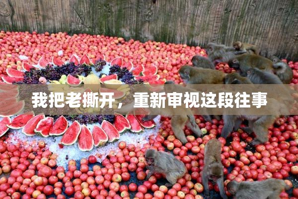 我把老撕开，重新审视这段往事