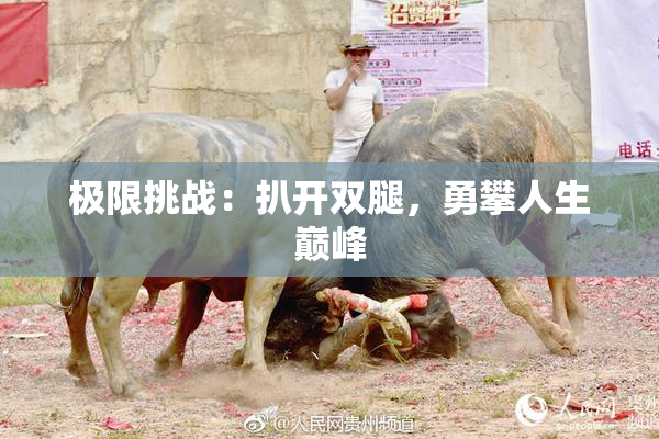 极限挑战：扒开双腿，勇攀人生巅峰