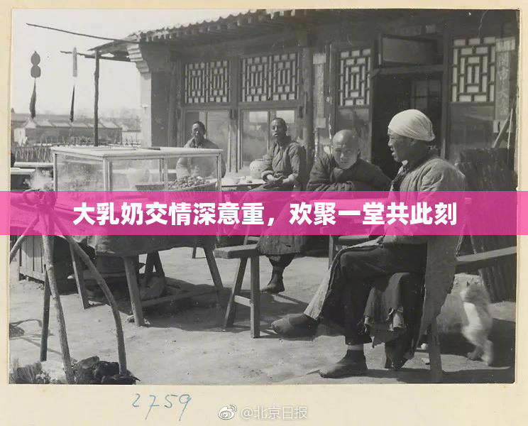 大乳奶交情深意重，欢聚一堂共此刻