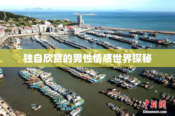 独自欣赏的男性情感世界探秘