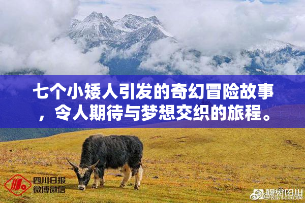 七个小矮人引发的奇幻冒险故事，令人期待与梦想交织的旅程。
