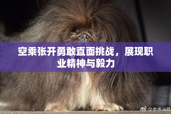空乘张开勇敢直面挑战，展现职业精神与毅力