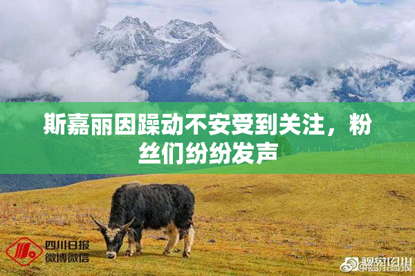 斯嘉丽因躁动不安受到关注，粉丝们纷纷发声