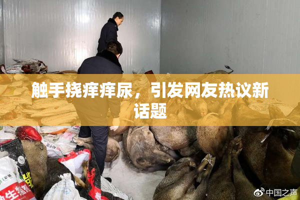 触手挠痒痒尿，引发网友热议新话题