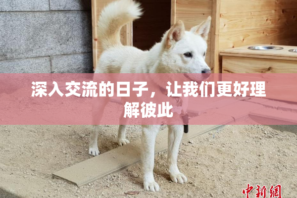 深入交流的日子，让我们更好理解彼此