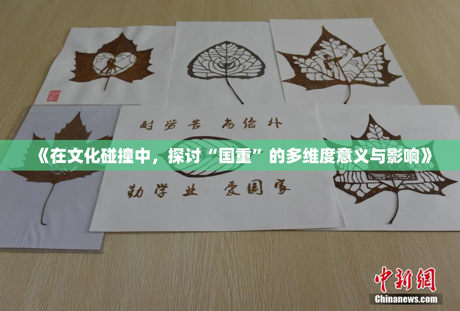 《在文化碰撞中，探讨“国重”的多维度意义与影响》