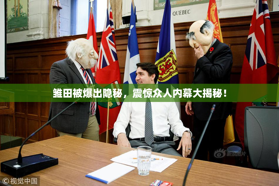 雏田被爆出隐秘，震惊众人内幕大揭秘！