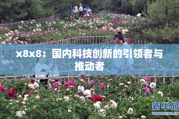 x8x8：国内科技创新的引领者与推动者