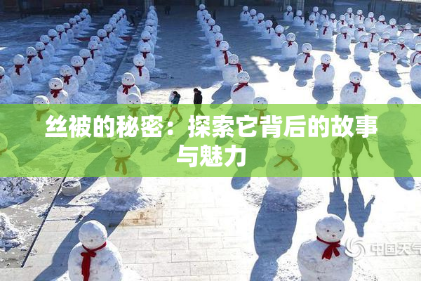 丝被的秘密：探索它背后的故事与魅力