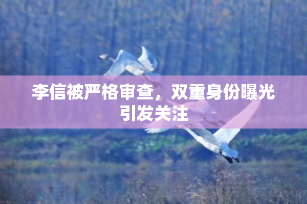 李信被严格审查，双重身份曝光引发关注