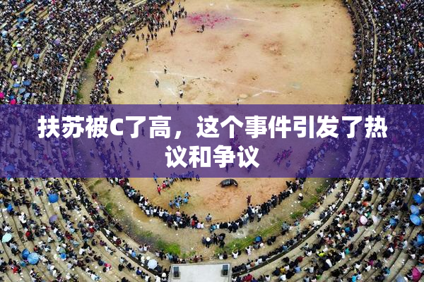 扶苏被C了高，这个事件引发了热议和争议