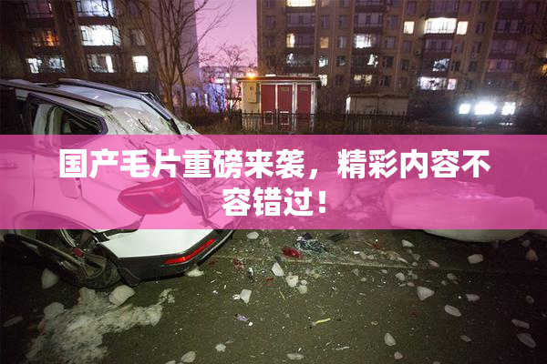 国产毛片重磅来袭，精彩内容不容错过！