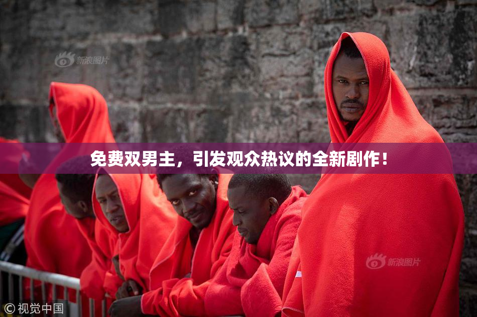 免费双男主，引发观众热议的全新剧作！