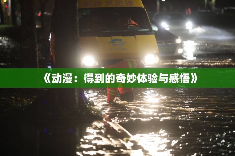 《动漫：得到的奇妙体验与感悟》