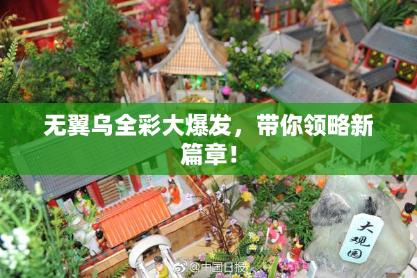 无翼乌全彩大爆发，带你领略新篇章！
