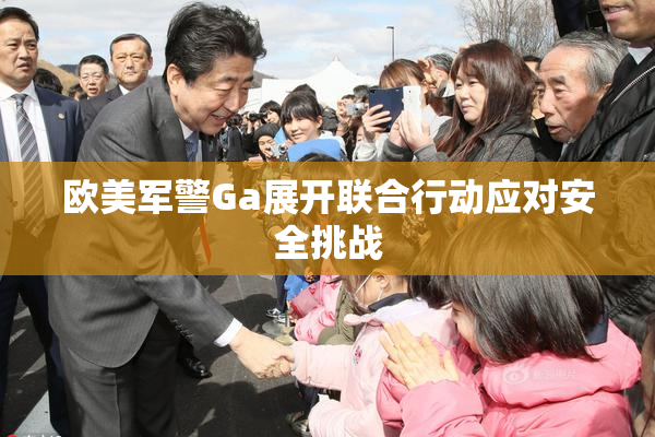欧美军警Ga展开联合行动应对安全挑战