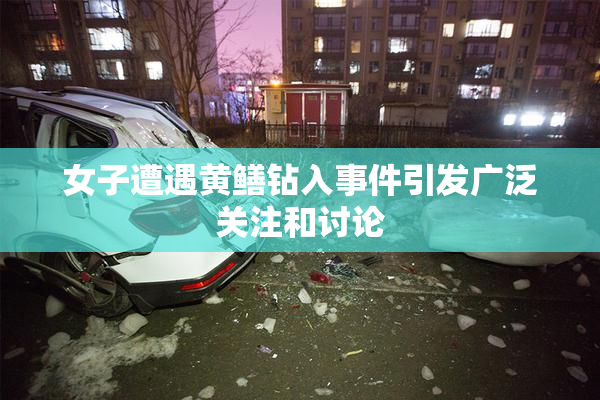 女子遭遇黄鳝钻入事件引发广泛关注和讨论