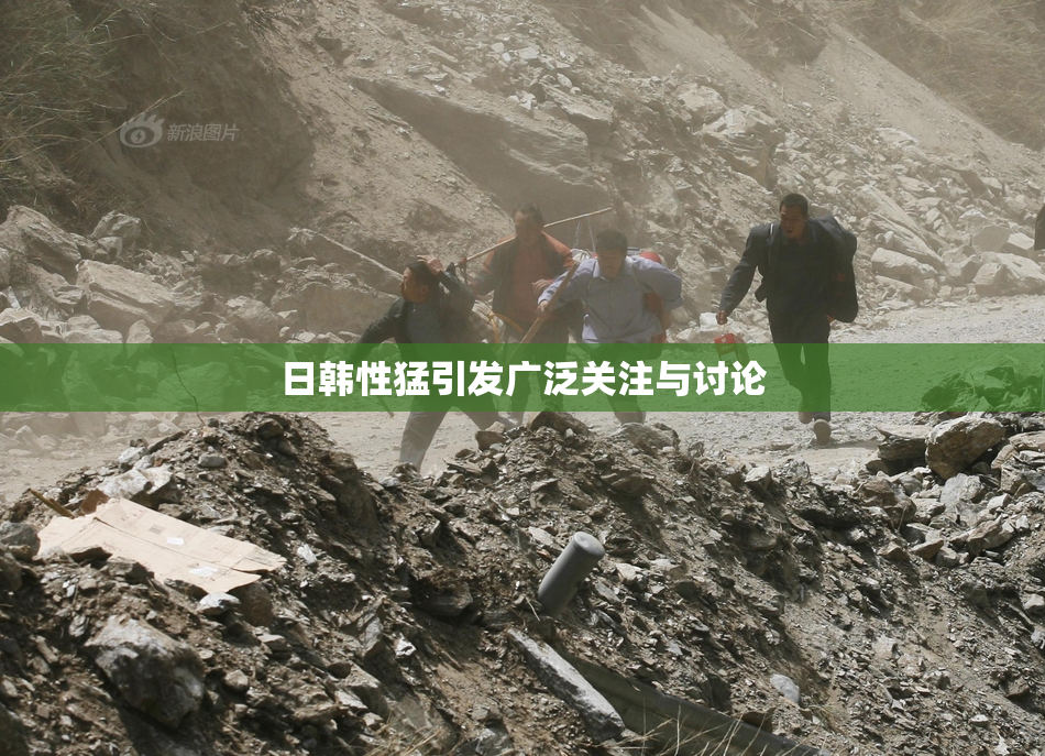 日韩性猛引发广泛关注与讨论