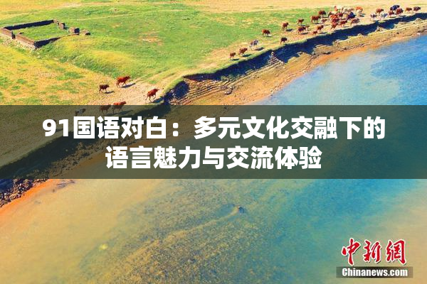 91国语对白：多元文化交融下的语言魅力与交流体验