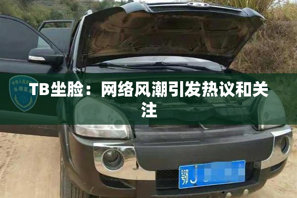 TB坐脸：网络风潮引发热议和关注