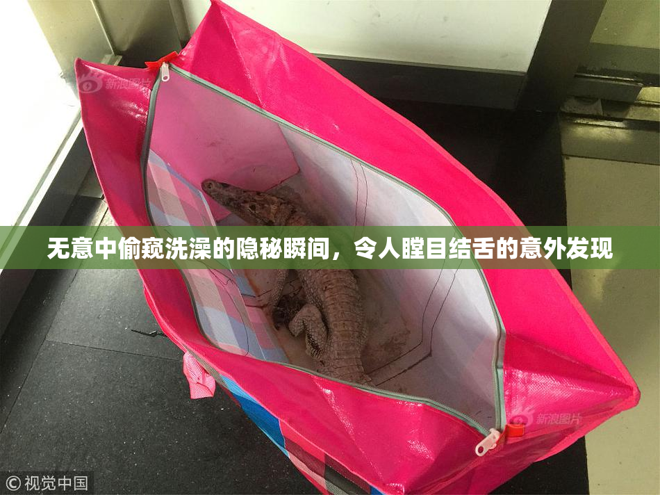 无意中偷窥洗澡的隐秘瞬间，令人瞠目结舌的意外发现
