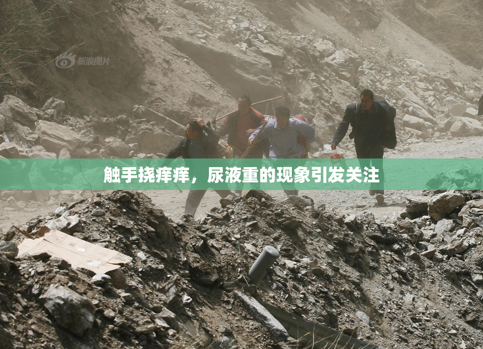 触手挠痒痒，尿液重的现象引发关注