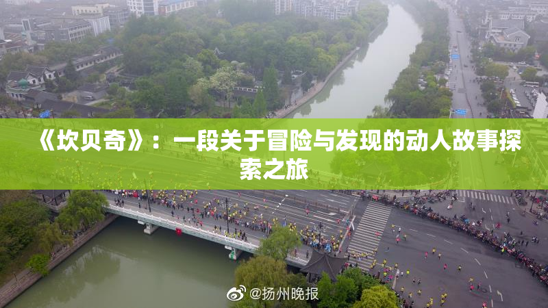 《坎贝奇》：一段关于冒险与发现的动人故事探索之旅