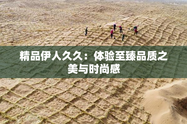 精品伊人久久：体验至臻品质之美与时尚感
