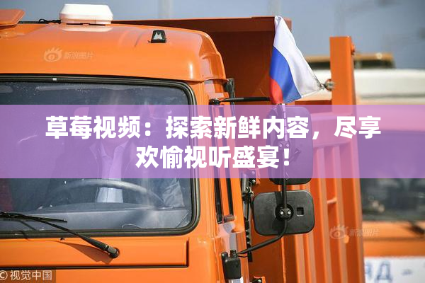 草莓视频：探索新鲜内容，尽享欢愉视听盛宴！