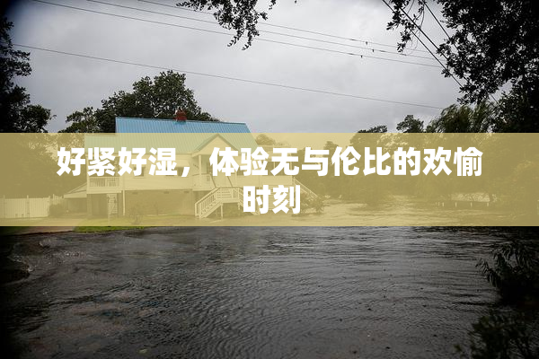 好紧好湿，体验无与伦比的欢愉时刻