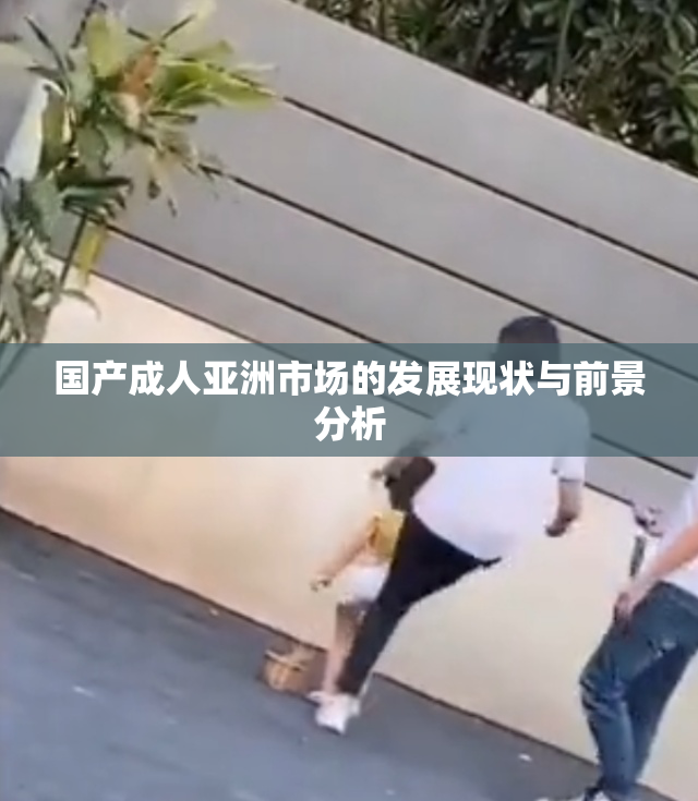 国产成人亚洲市场的发展现状与前景分析