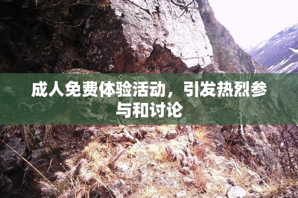 成人免费体验活动，引发热烈参与和讨论