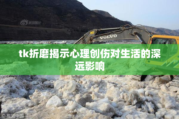 tk折磨揭示心理创伤对生活的深远影响