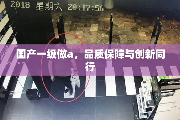 国产一级做a，品质保障与创新同行