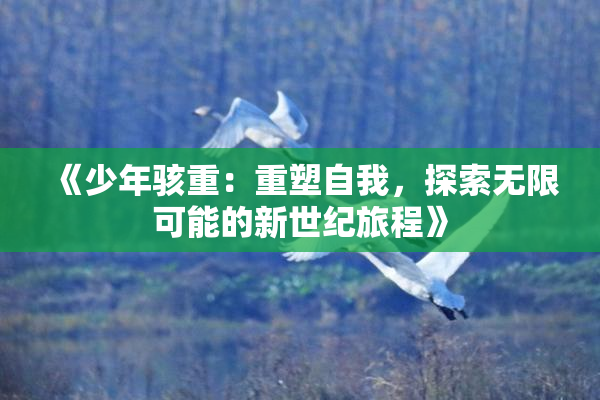 《少年骇重：重塑自我，探索无限可能的新世纪旅程》