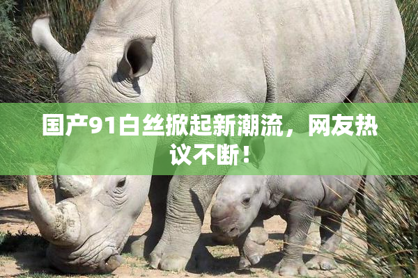 国产91白丝掀起新潮流，网友热议不断！