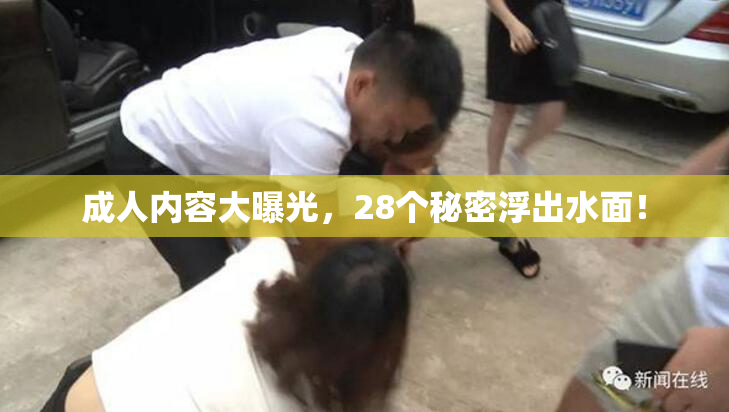 成人内容大曝光，28个秘密浮出水面！