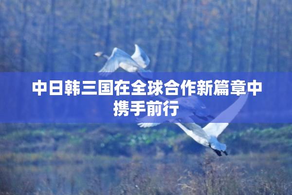 中日韩三国在全球合作新篇章中携手前行