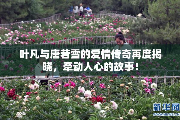 叶凡与唐若雪的爱情传奇再度揭晓，牵动人心的故事！