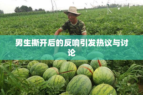 男生撕开后的反响引发热议与讨论