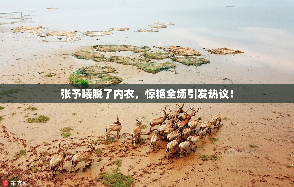 张予曦脱了内衣，惊艳全场引发热议！